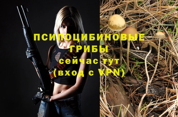 стафф Слюдянка