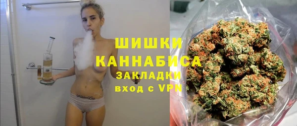 молекула духа Сосновоборск