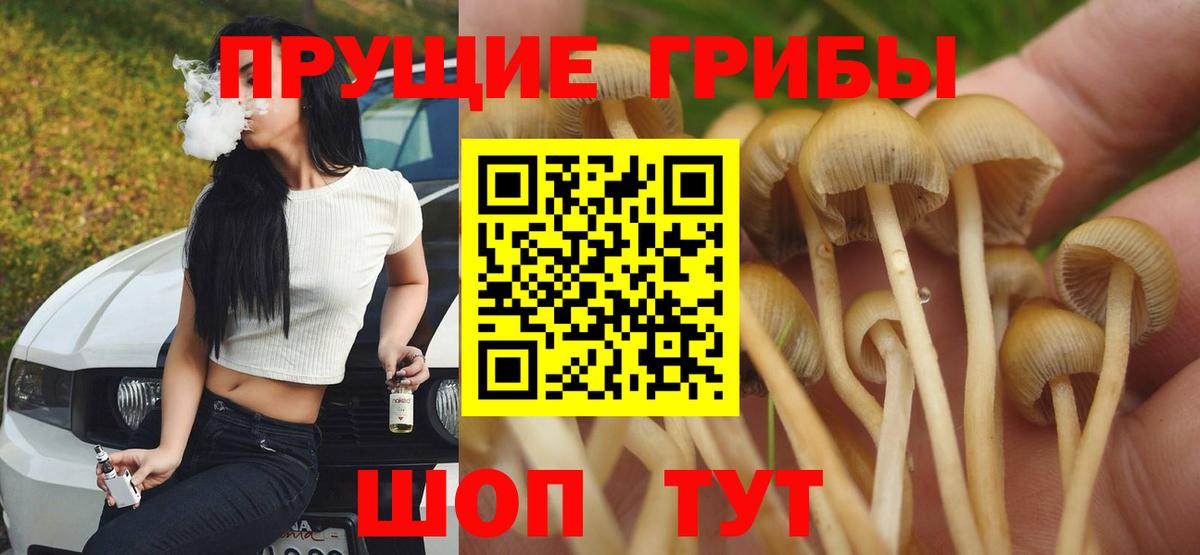 Галлюциногенные грибы MAGIC MUSHROOMS  Вход с VPN  Новосибирск 